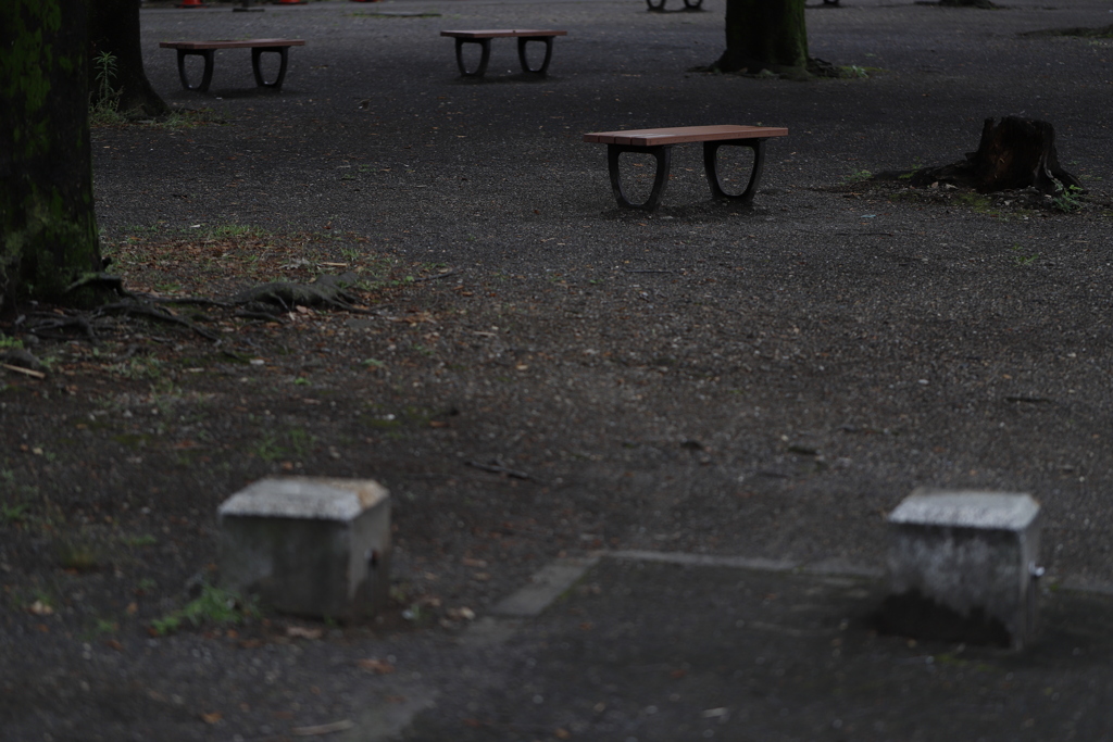 しずか　その77