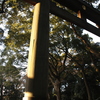明ける　その10
