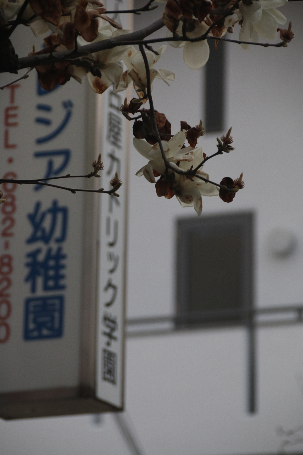 くちる　その21