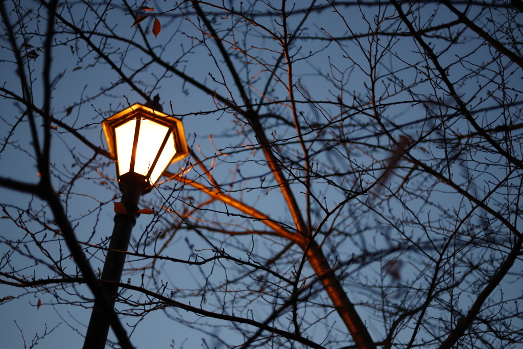 ともる　その55