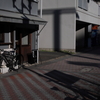 ひかり　その123