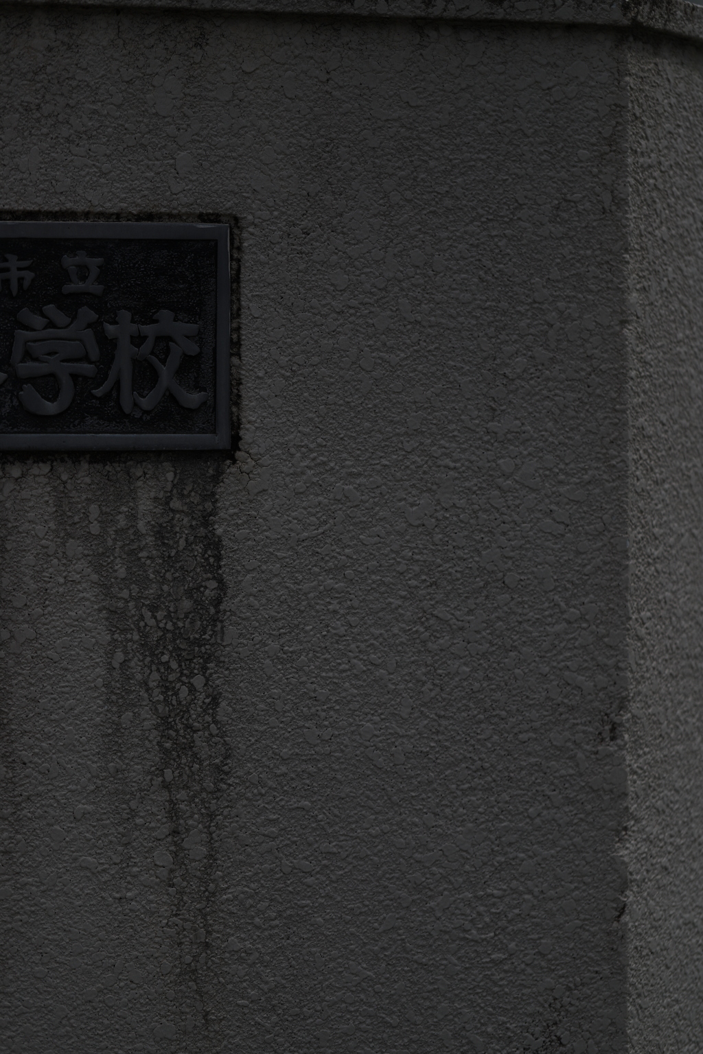 漂う　その133