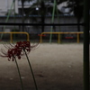 後悔　その79
