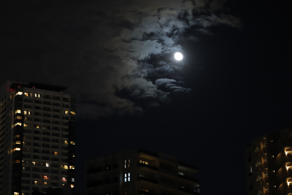 漂う　その157