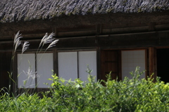 渡る　その16