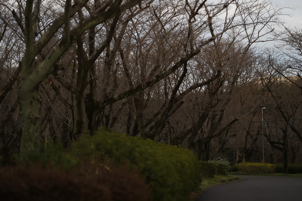 しずか　その130