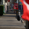 渡る　その142