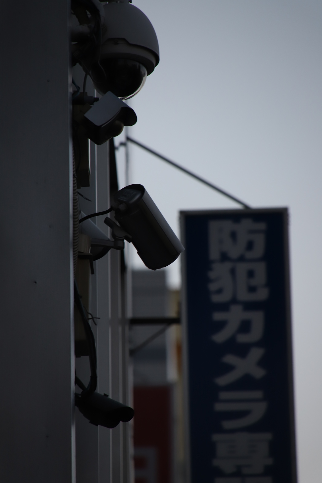 ひしめく　その30