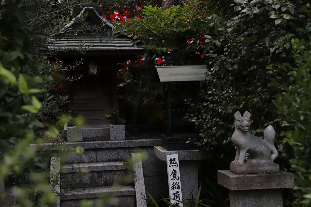 漂う　その59