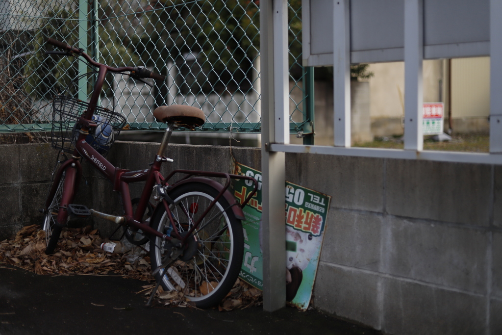 わび　その331