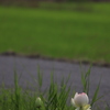独り　その358