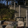 わび　その51