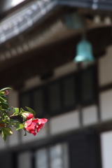 わび　その433