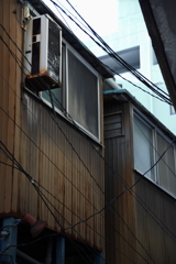 残る　その331