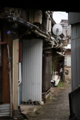 わび　その439