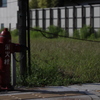 のこる　その38