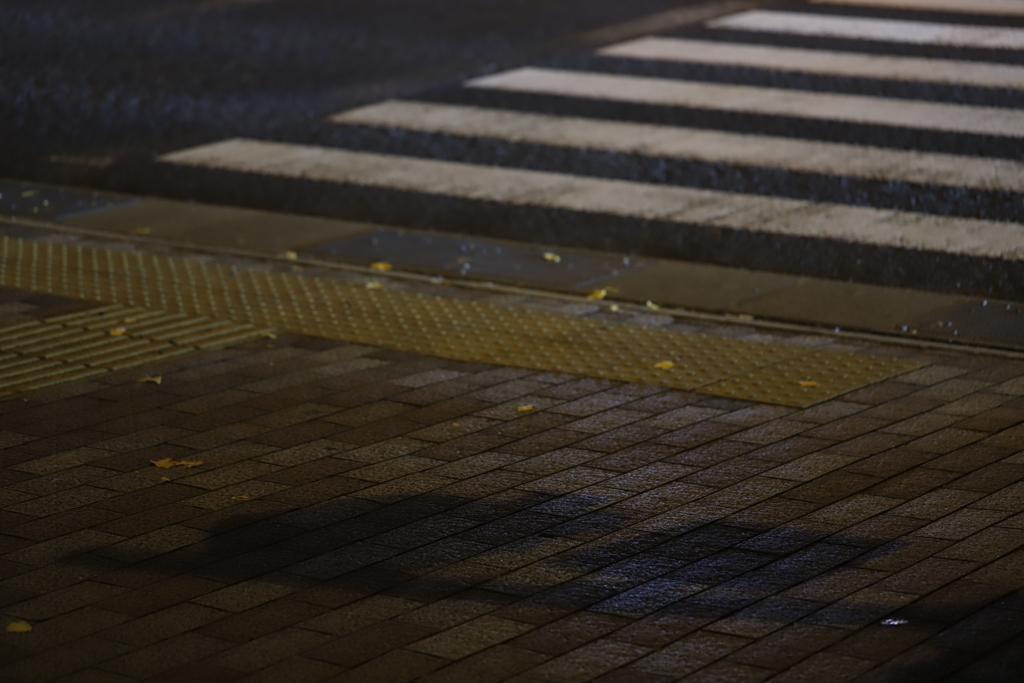 渡る　その53