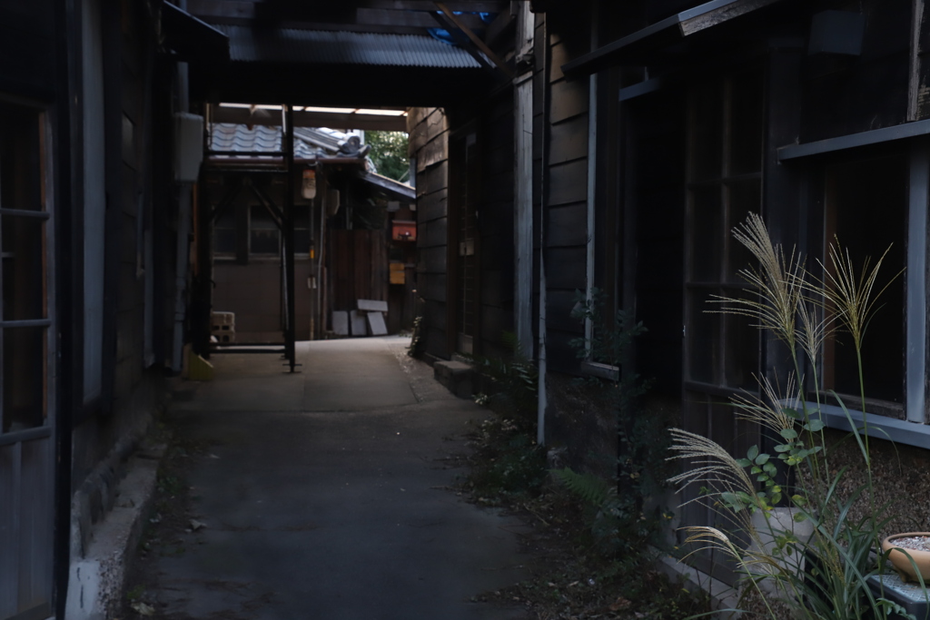 渡る　その112