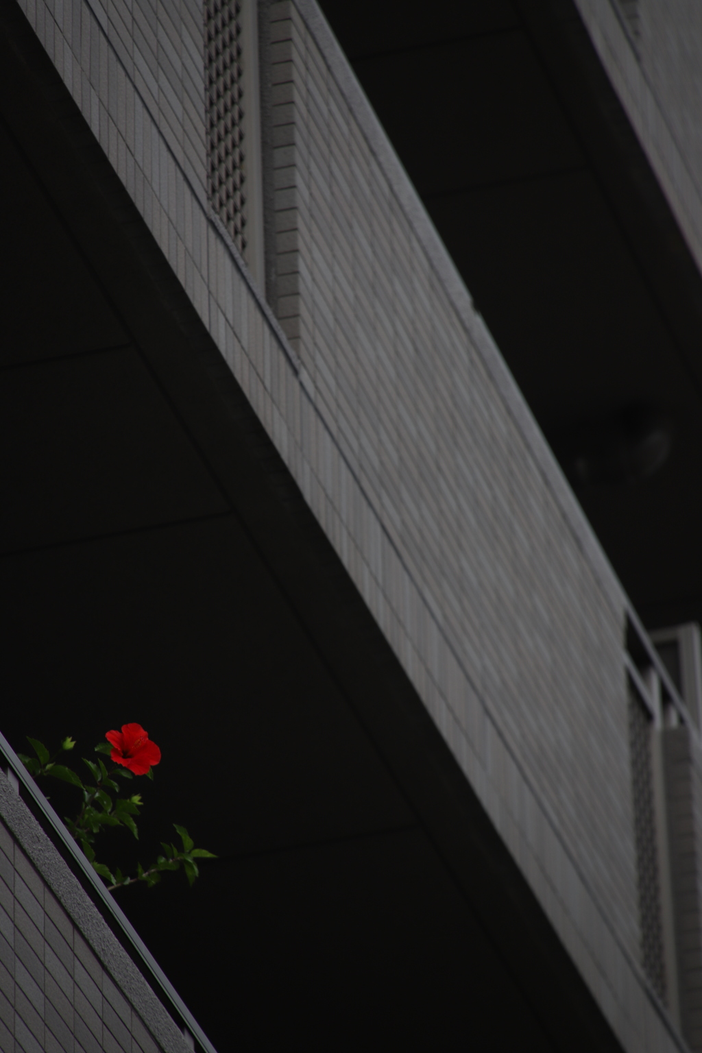 独り　その451