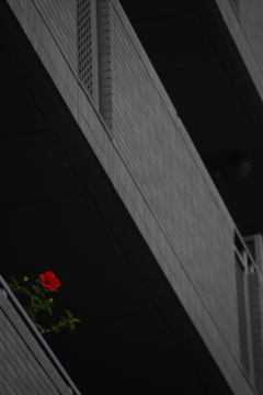 独り　その451
