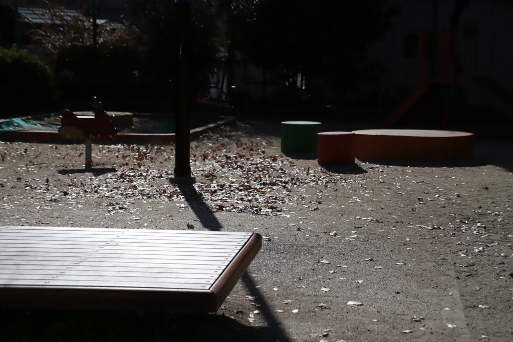 ひかり　その131