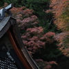 渡る　その131
