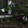 生きる　その7