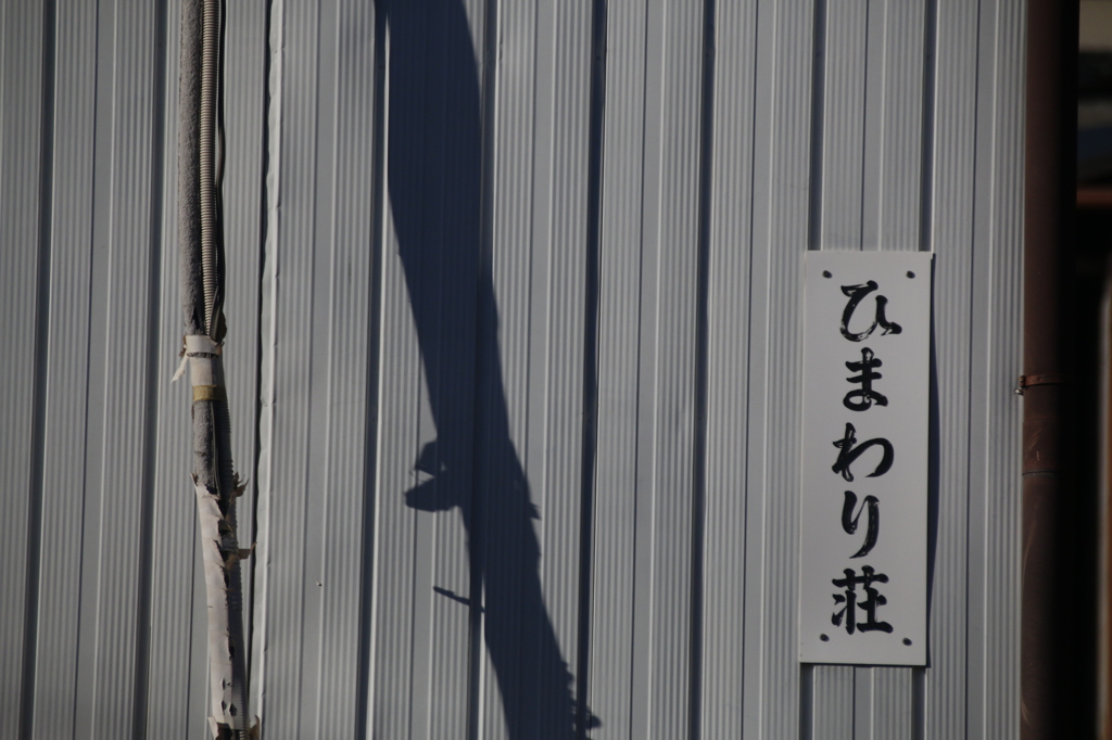 わび　その25