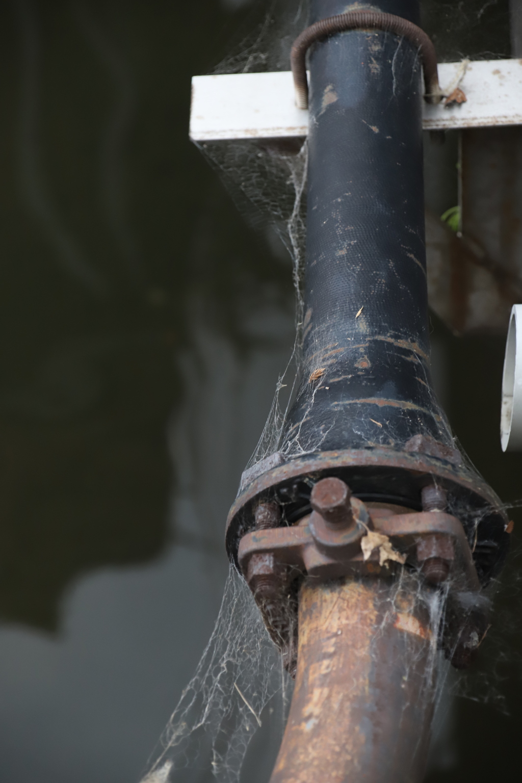 汚れる　その79