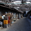 わび　その109