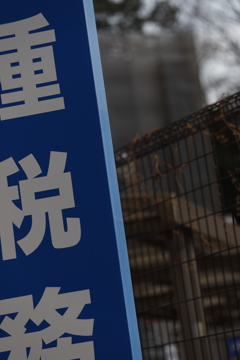 とりたてる　その11