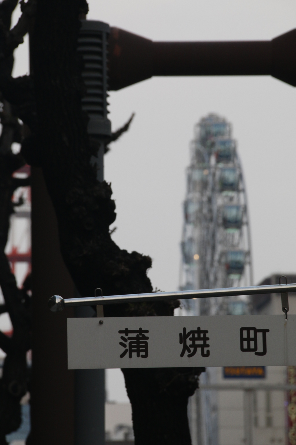 わび　その33