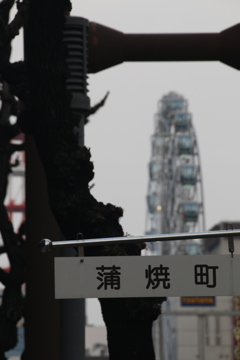 わび　その33