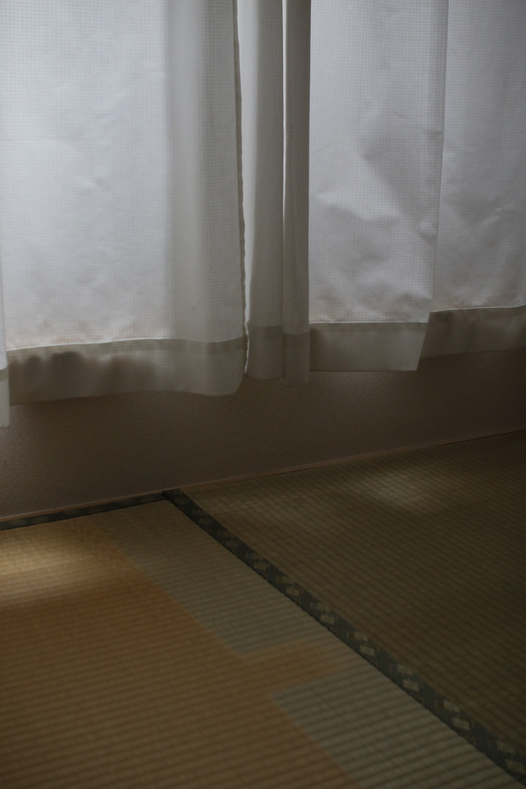 のこる　その20