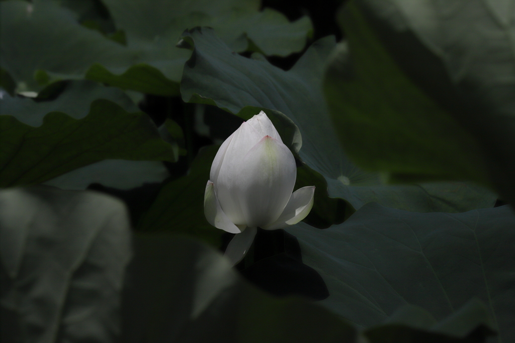独り　その392