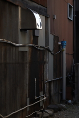 わび　その435