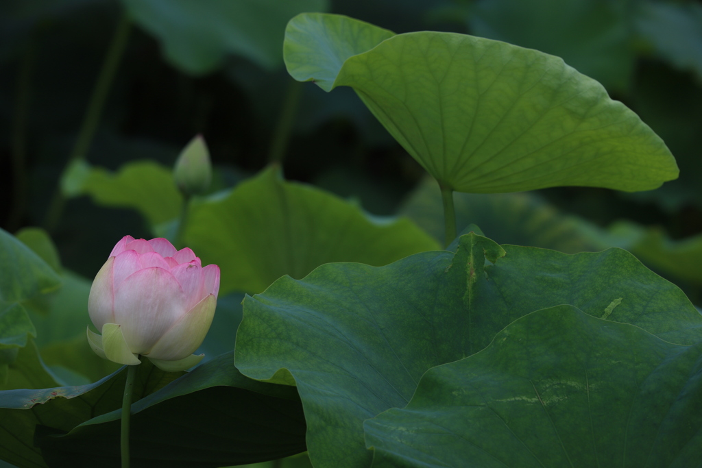 独り　その393