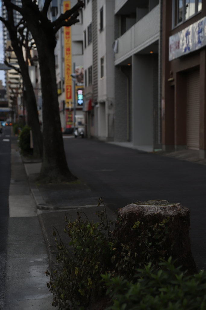 欠ける　その42