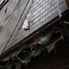 残る　その155