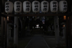 漂う　その88