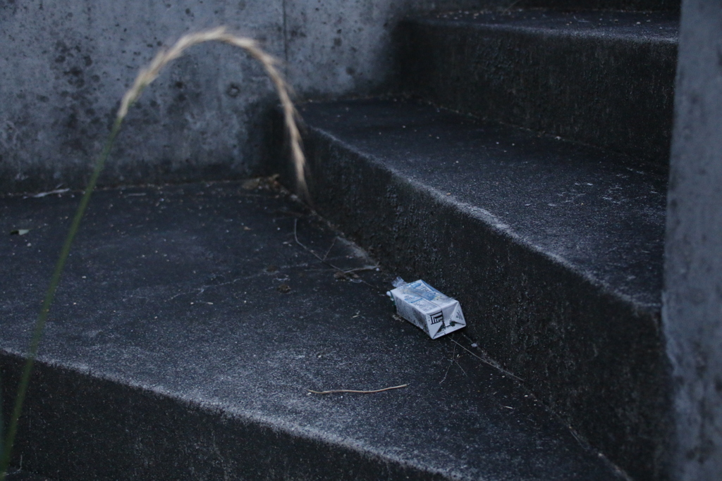 荒れる　その36