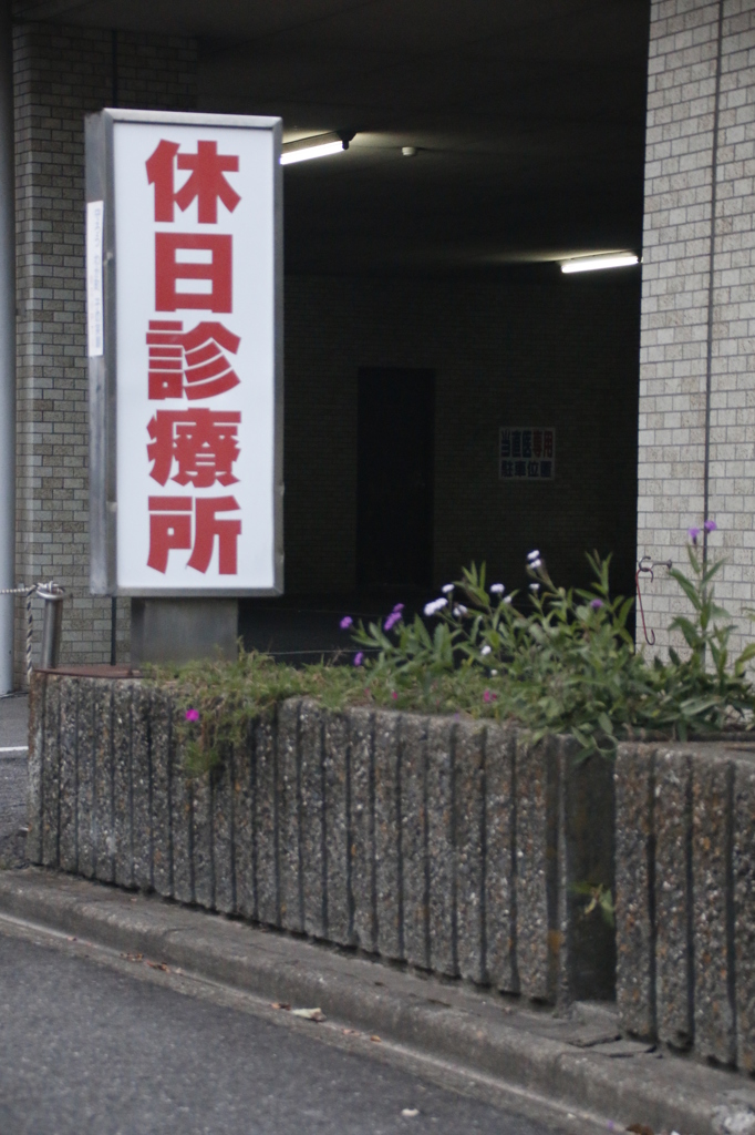 のこる　その14