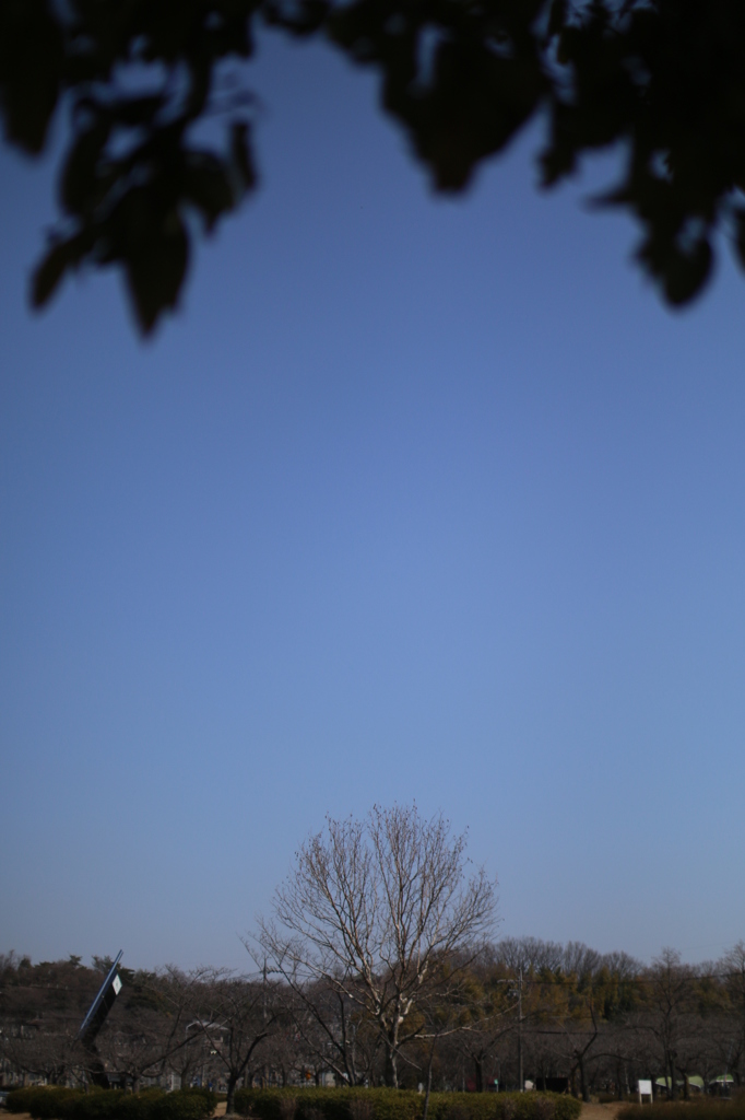 空　その1