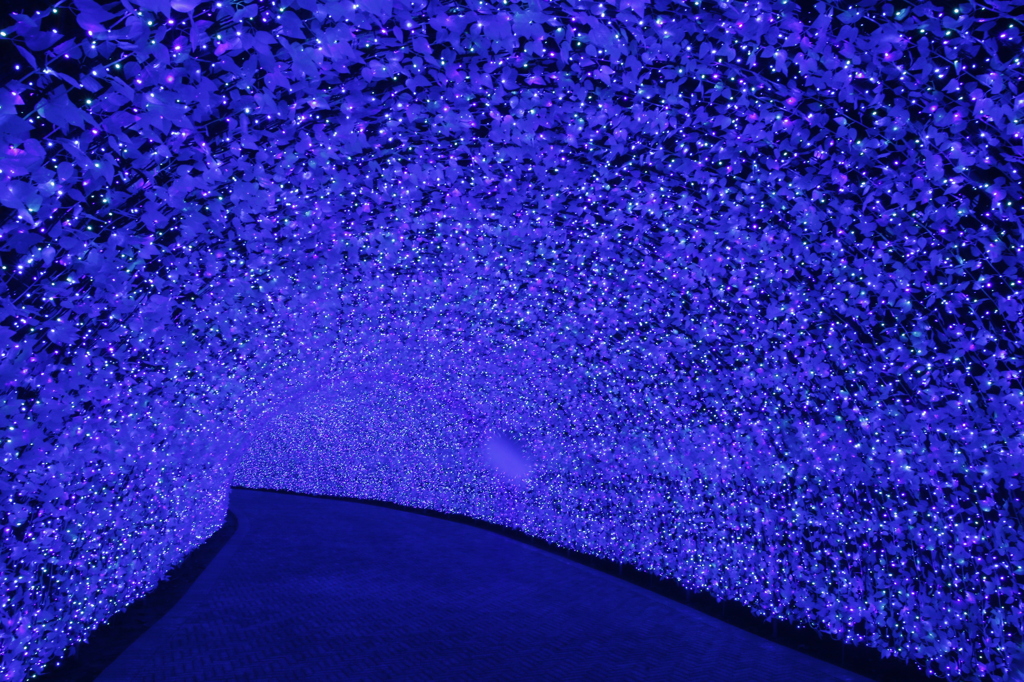 ひかり　その9