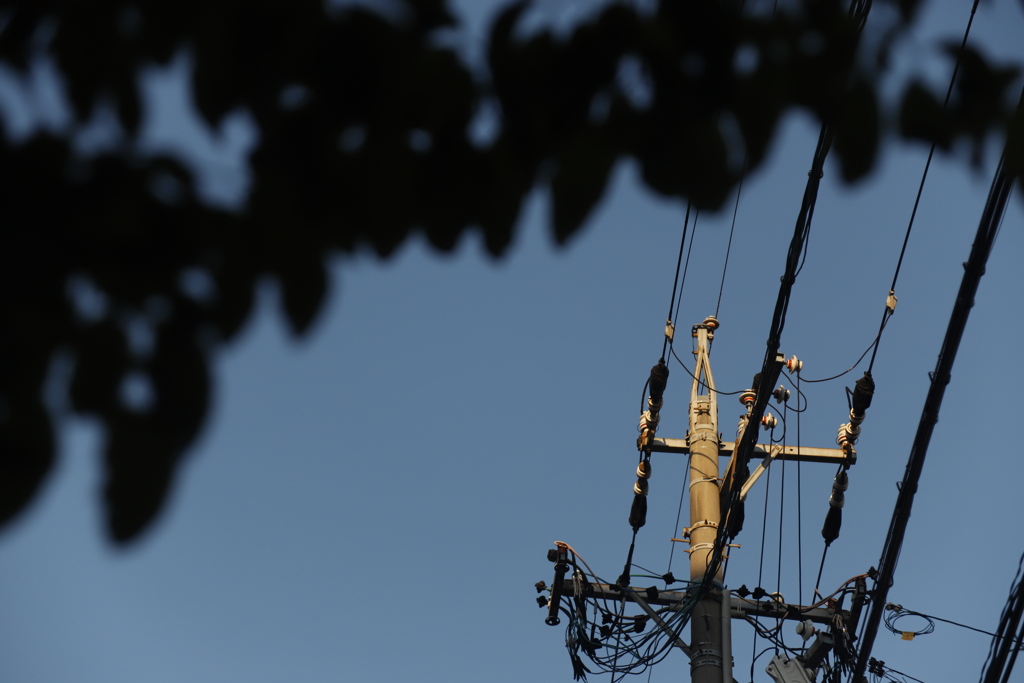 暮れる　その98