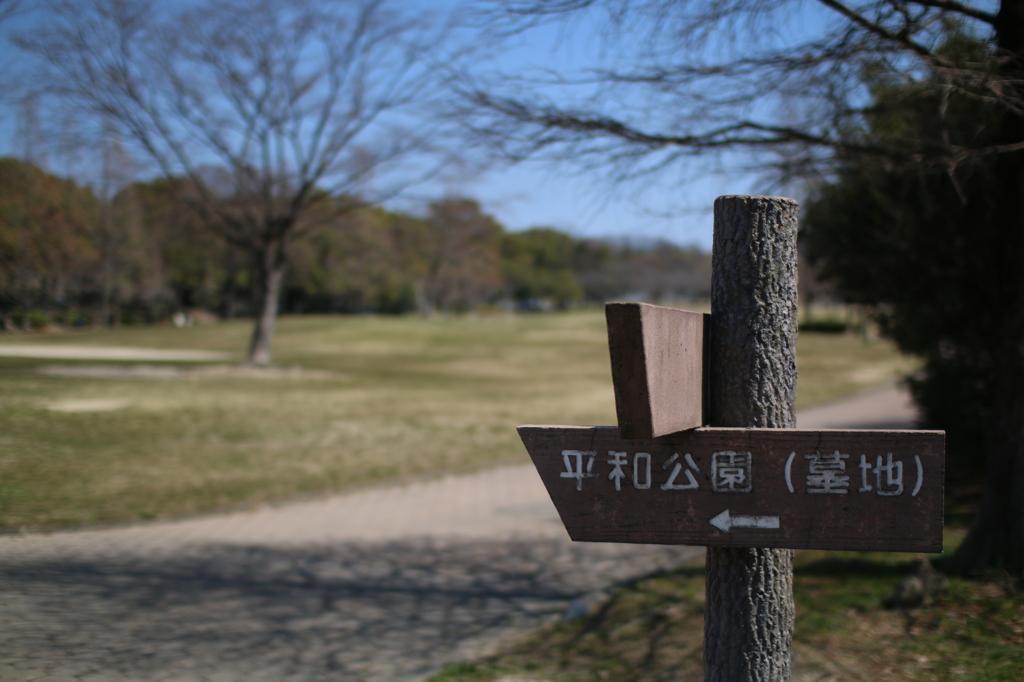 しずか　その31