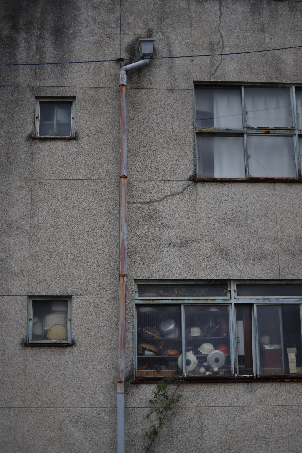 ひしめく　その53