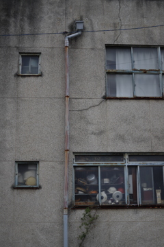 ひしめく　その53