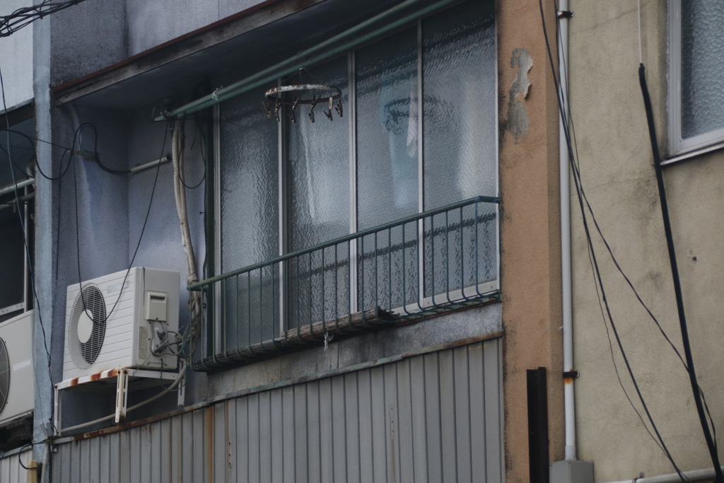 わび　その36