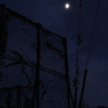 漂う　その26